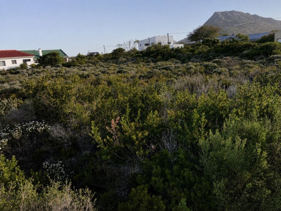 0 Bedroom Property for Sale in Bettys Bay Western Cape